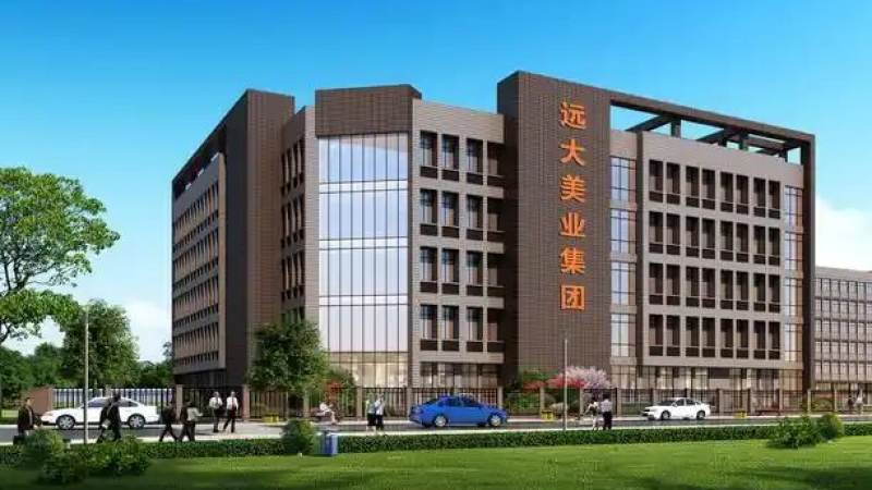 电竞赛事资讯时效性与准确性如何平衡？编辑与玩家判断方法